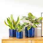 vancasso Ceramic Plant Pots, 3 Piece Planters for Indoor Plants, 4.25+5.25+6.25 Inch Flower Pots with Drainage, Plant Pots Indoor for Succulent, Pothos, Snake Plant and Money Tree, Etc (Blue)
