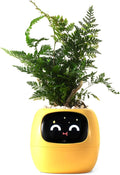PLANTSIO Smart pet Planter Robot Guidance on Plant Care with Emojis, Adorable Plant Companion with Rich Gesture Interaction, Neat Desk Setup Gift (Yellow)