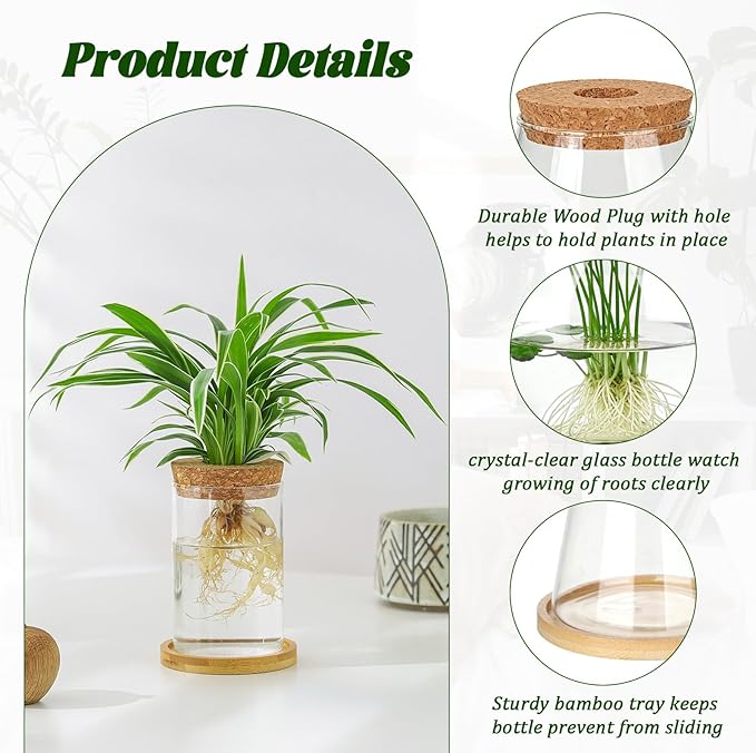 6 Pcs Plants Propagation Stations Glass Planter Terrariums with Wooden Lid and Bamboo Stand Desktop Propagation Vases Jars for Plant Growing Hydroponic Home Office Tabletop Garden Decoration