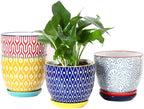 Selamica Ceramic Plant Pots, 5.6 Inch Flower Pots for Indoor Plants, Planters with Drainage Hole and Saucer, Garden Pots for Succulent, Orchid, Home Decor, Set of 4, Assorted Colors