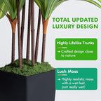 Artificial Dracaena Tree with Lights, 5Ft Fake Plants with Black Tall Planter - Fake Tree Tall Faux Plants Indoor Floor Plant with Moss - Artificial Plants Indoor for Office Living Room Home Decor