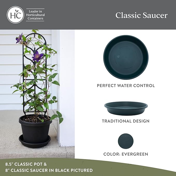 The HC Companies 6 Inch Classic Round Plant Saucer, Lightweight UV-Resistant Plastic Outdoor & Indoor Flower Pot Tray, 4-Pack Plant Pot Trays for Garden & Home Decor, Evergreen