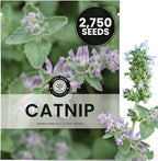 Catnip – 2,750 Premium Seeds for Planting – Fragrant Herb for Pets & Pollinators – 2026 Season – 2 Gram Pouch