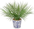 Hollyone Large Artificial Potted Plants Fake Palm Plants 13" Faux Green Plant Plastic Tropical Palm Tree in Blue and White Porcelain Ceramic Pots for Home Room Office House Indoor Decoration