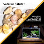 Natural Pea Gravel Pebbles for Plants, Fish Tank Gravel, Small Rocks for Outdoor Landscaping, Terrarium, Fish Tank, Home Decoration (10 Pounds, 1/5-3/5 inch, Yellow)
