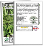 Perpetual Spinach Seeds for Planting, 300+ Heirloom Seeds Per Packet, (Isla's Garden Seeds), Non GMO Seeds, Botanical Name: Beta vulgaris subsp. vulgaris, Great Home Garden Gift