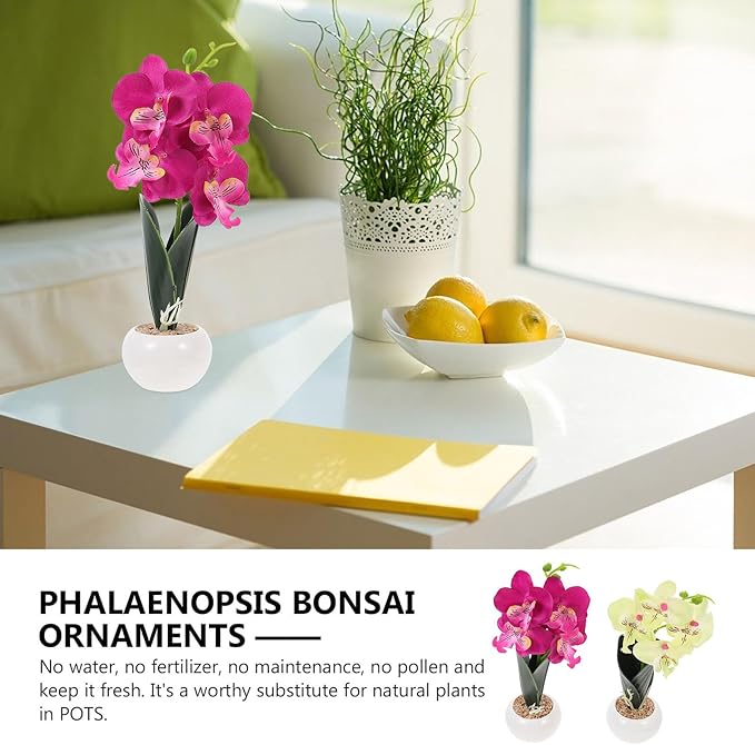 FRCOLOR Artificial Phalaenopsis Bonsai Set 2pcs with White-Green and Purple Butterfly Orchid Flowers, Realistic Simulation Craft for Home Office Living Room Décor