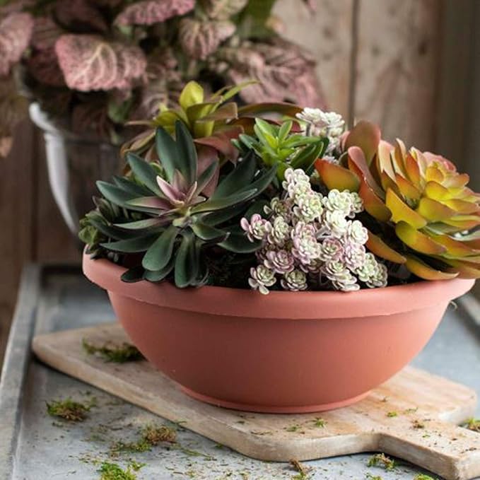 The HC Companies Shallow Planter with Drainage - Contemporary Garden Bowl Planter for Flowers, Herbs & More - Round Succulent Planter Pot for Indoors and Outdoors (20" Clay, Pack of 1)