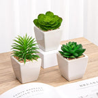 Briful 3PCS Fake Succulents for Farmhouse Tiered Tray Decor Smaller Artificial Potted Plants Faux Plants Indoor Bookshelf Decor House Plants Tabletop Decor in White Ceramic Pot