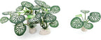 6PCS Aquarium Plants Fish Tank Decorations Betta Silk Plastic Plants for Aquarium Decor