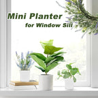 Anyumocz 24Pcs 3" Square Plastic Plant Pots,White Nursery Pots with Saucers,Seedling Nursery Transplanting Planter Container for Plants,Garden,Flower,Home,Office,Balcony Decor,Indoor,Outdoor