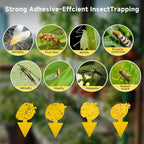 Fruit Fly Trap & Fungus Gnat Traps 40 Pack – Yellow Sticky Gnat Traps for House Indoor & Outdoor Plants, Non-Toxic and Odorless Insect Bug Catcher