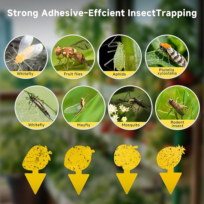 Fruit Fly Trap & Fungus Gnat Traps 40 Pack – Yellow Sticky Gnat Traps for House Indoor & Outdoor Plants, Non-Toxic and Odorless Insect Bug Catcher
