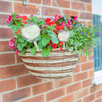 10 Pcs Plant Watering Cans,Plant Watering Globes,Plant Self-Watering Bulbs,Plastic Plant Automatic Water Devices for Indoor Outdoor Potter Plants