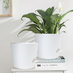 YNNICO 12 Inches Indoor Self Watering Planters with Drainage Holes and Saucers, 4 Pack (White)
