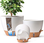 T4U 3 Pack Self Watering Pots (8"+10"+12") - Water Level Indicator & Deep Reservoir, Mess-Free Planters for Busy People, Beginners & Gardeners, Fits Pothos to Monstera, Indoor Outdoor Use (White)