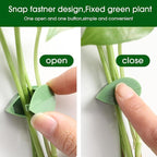 LUOTIVON 24 Pcs Plant Climbing Wall Fixture Clips, Plant Fixer Invisible Wall Vines Fixing Clips with 24 Pcs Acrylic Adhesive Sticker, Self-Adhesive Hook Plant Vine Support Holder