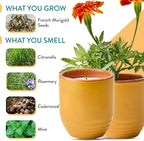 Modern Sprout - 2-in-1 Soy Candle & Planter Set - Patio Goals 3-Pack (Bug-Repelling Citronella, Rosemary, Cedarwood, Mint) 6 Oz Outdoor Scented Candles with Marigold Seeds - 38–40 Hour Burn