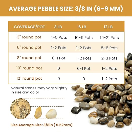 Vibrant Polished Multi-Color Pebbles, 3/8 Inch Assorted Decorative Rocks for Plants - Colorful River Gravel for Succulent, Vase, Aquarium, Fairy Garden, Planter, Indoor/Outdoor Decor-3LB