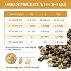 Vibrant Polished Multi-Color Pebbles, 3/8 Inch Assorted Decorative Rocks for Plants - Colorful River Gravel for Succulent, Vase, Aquarium, Fairy Garden, Planter, Indoor/Outdoor Decor-3LB