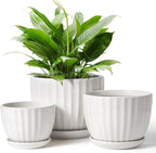 STHIE 4/5/6 Inches Ceramic Plant Pots with Drainage Holes and Saucers, Round Flower Pots for Indoor Plant, Modern Flower Planters Set of 3 (White-Big Size)