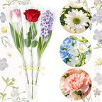 baotongle 50pcs Single Rose Sleeves with 50pcs Floral Water Tubes and Ribbons Single Flower Bags Plastic Flower Wrap for Mother's Day Wedding Birthday Supplies