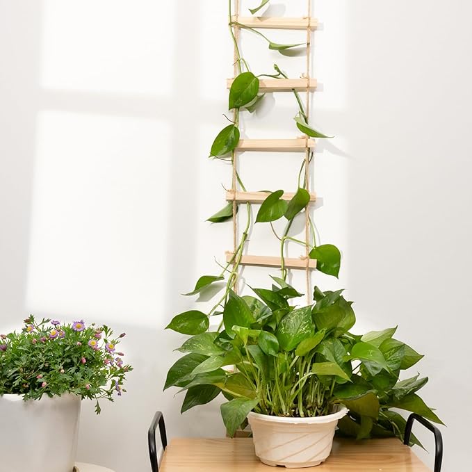 Yohsnor 2PCS Chain Trellis for Climbing Plants - Natural Wood Indoor Plant Support, Durable 6.5 Inch by 4 Feet Design, Perfect for Pothos, Ivy, and Vines with Easy Installation Hook