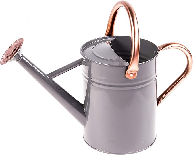 Gardman R34884 1 Gallon Watering Can, Cool Gray