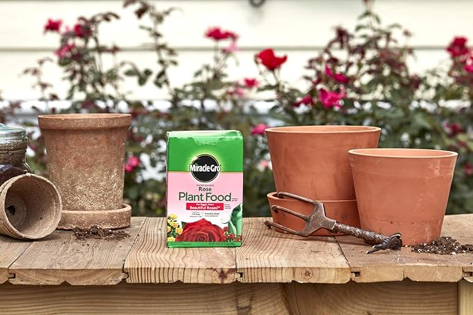 Miracle-Gro Water Soluble Rose Plant Food 1.5 lbs., 2-Pack
