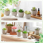 24 Pack Assorted Artificial Succulents in Retro Pulp Pots Bulk Fake Succulent Plants with Vintage Stone-Like Paper Pulp Pots Variety Set for Home, Office & Desk Decor (Various Style)