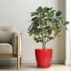 Ceramic Planter 10 Inch - Ceramic Pot for Plants Large Plant Pot Indoor with Drainage Hole and Saucer Round Outdoor Planter Modern Flower Pot for Garden House Red