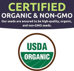 Organic Thai Basil Seeds – Seed Packet of Over 440 Open Pollinated Non-GMO Seeds – Sweet Yards Seed Co.