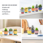 Selamica Ceramic 2.4 Inch Succulent Pots, Mini Flower Pots for Cactus Plant with Drainage Holes & Saucers, Home Decor, Set of 6, Assorted Colors