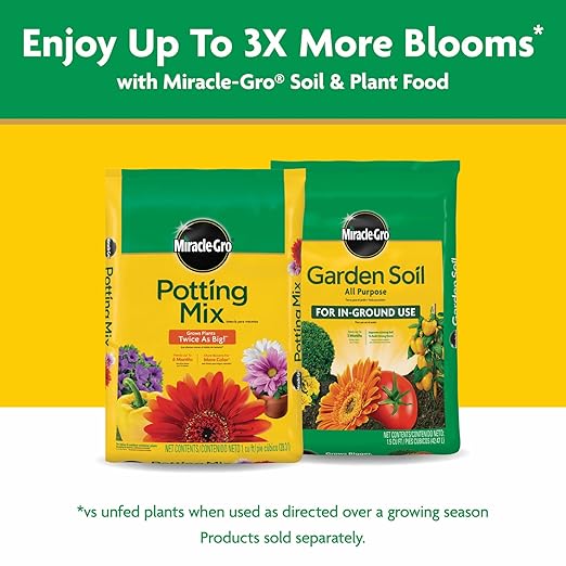 Miracle-Gro Water Soluble All Purpose Plant Food - Fertilizer For All Indoor or Outdoor Plants including Roses, Flowers, Vegetables, Houseplants, Trees, and Shrubs, 6.25 lbs.