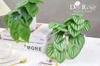 Der Rose 2Pcs Small Fake Plants Artificial Mini Faux Plants for Bathroom Office Desk Shelf Table Accessories Decor Indoor