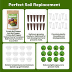 12-Pod Pepper Seed Kit Compatible with All Hydroponics, 6 Pack Varieties: Yellow, Purple, Red, Sweet Pepper, Cherry Tomato, Cucumber - Universal Seed Starter Pods, Easy to Grow, High Germination