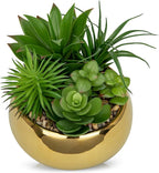 Hollyone Succulents Plants Artificial in Pots Fake Succulents for Outdoors Indoor Faux Succulent Arrangement Potted Plant in Gold Ceramics Planter Bowl for Garden Office Desk Living Room Home Decor