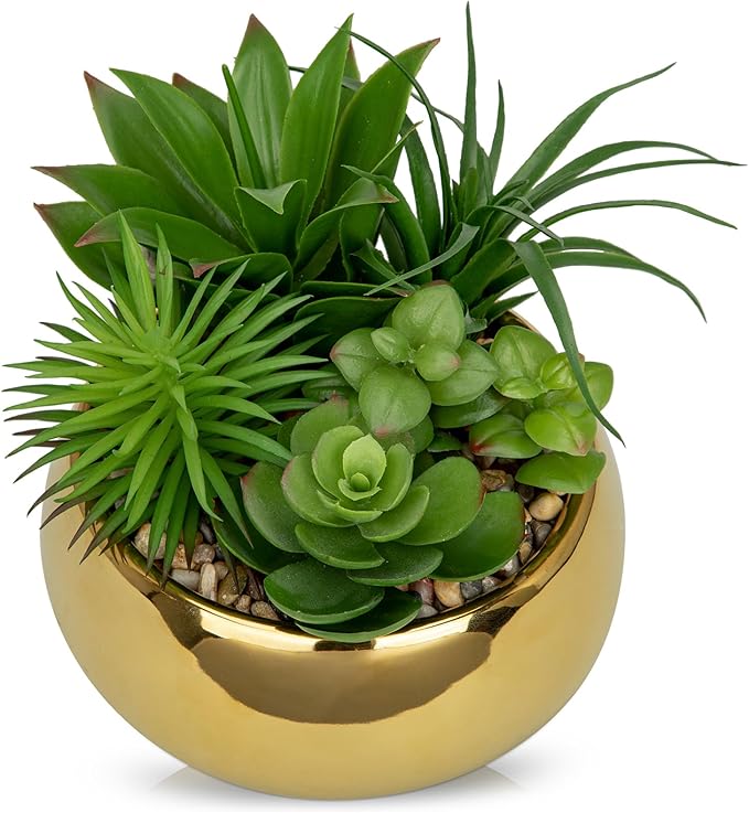 Hollyone Succulents Plants Artificial in Pots Fake Succulents for Outdoors Indoor Faux Succulent Arrangement Potted Plant in Gold Ceramics Planter Bowl for Garden Office Desk Living Room Home Decor
