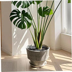 Plant Pot Cover, 2PCS 20 inch Round Hollow Plastic Planter Cover with Stakes, Adjustable Flower Protector Cat Digging Stopper for Indoor Outdoor Plant Covers from Animals