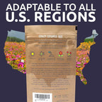 Cosmos Seeds Wildflower Mixture - Bulk Quarter Pound Bag - Over 20,000 Seeds - Pink, Yellow, Orange, Red, Purple and White Mixed Species!