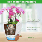 Vanslogreen 6 Inch Orchid Pots with Holes, 2 Pack Self Watering Planters for Orchids Plastic Orchid Pot Plant Flower Pots for Orchids Indoor Outdoor (White with Brown)