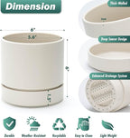 Phoenix Vine 6 Inch Planter Pot with Drainage Hole & Saucer, Deep Water Catch Tray, Straight Cylindrical Round Pot for Plants, Oatmeal, Pack of 3, 23-E-S-3