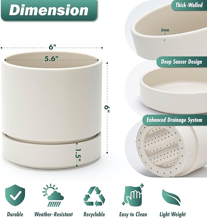 Phoenix Vine 6 Inch Planter Pot with Drainage Hole & Saucer, Deep Water Catch Tray, Straight Cylindrical Round Pot for Plants, Oatmeal, Pack of 4, 23-E-S-4