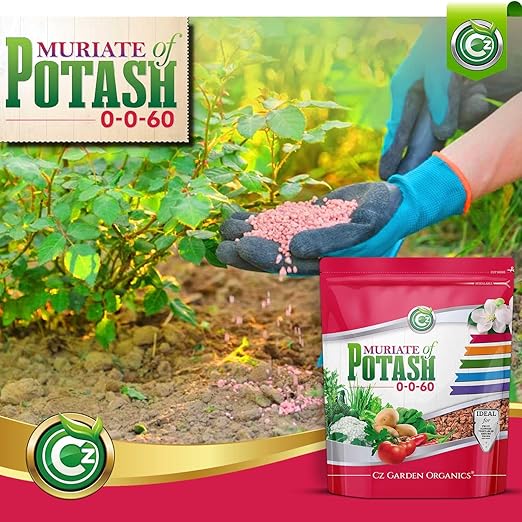 Muriate of Potash 0-0-62 Fertilizer Made in USA - MOP Potassium Plant Food for Indoor/Outdoor Plants, Flower Gardens, Fruit and Vegetable Gardens, Holistic Herbs, Trees and Green Lawns!