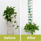 Blue Chain Trellis for Climbing Plants Indoor - Durable Natural Wood Design for Pothos and Ivy Support - Decorative Decorative Wall Feature for Home and Garden