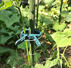 Fasmov 160 Piece Efficient Gardening Plant & Flower Spring Clips - for Supporting or Straightening Plant Stems, Stalks, and Vines