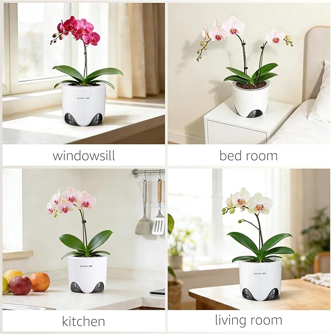 6 inch Orchid Pots with Holes for Repotting with Excellent Airflow, Set of 1, Double Layer Plastic Imitate Ceramic Orchid Planter, Clear Orchid Pot Match Decorative Orchid Container