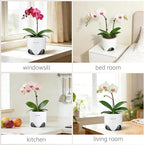5 inch Orchid Pots with Holes for Repotting with Excellent Airflow, Set of 1, Double Layer Plastic Imitate Ceramic Orchid Planter, Clear Orchid Pot Match Decorative Orchid Container