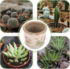 PRETYZOOM Vintage Succulent Pot with Drainage, 4.5'' Small Ceramic Planter with Floral Pattern, Indoor Flower Pot for Balcony, Kitchen, Windowsill Decoration, Christmas Supplies