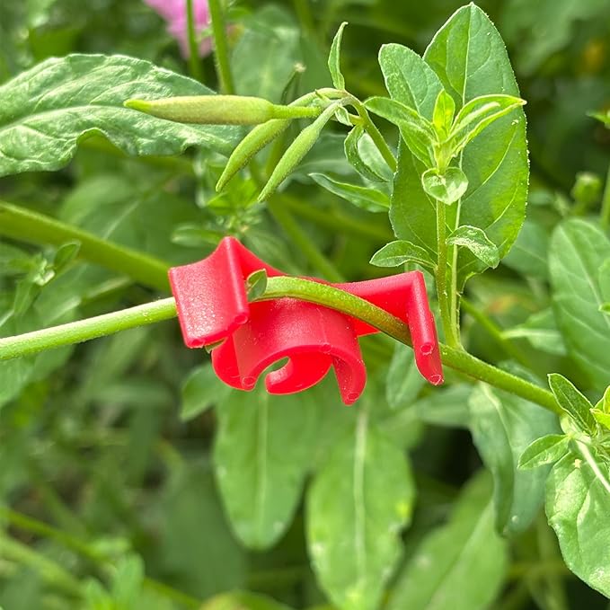 40 pcs Plastic Plant Training Clips, 90 Degrees Plant Stem Bender Low Stress Training Adjustable Circle Style Bud Bender for Climbing Plants and Gardening (Red)
